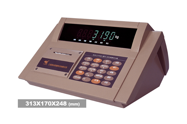 耀華XK3190-DM1稱重儀表